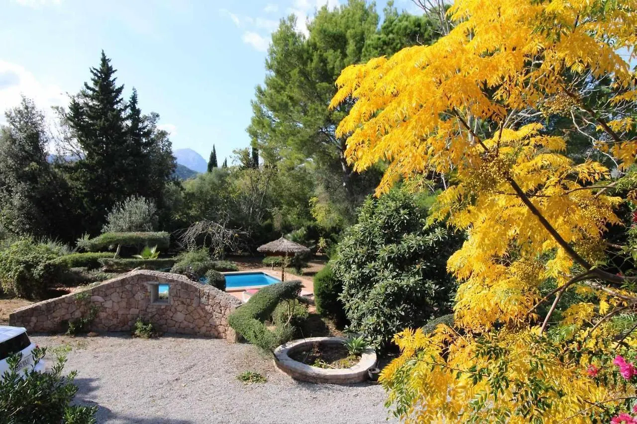 Can Gato Den Vives Casa Para 4 Con Piscina Port de Pollença 0*,  İspanya