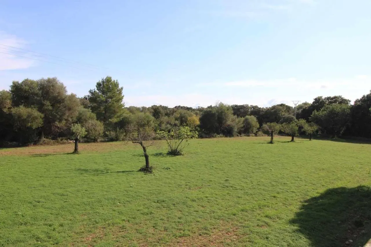Holiday home Can Gato Den Vives Casa Para 4 Con Piscina Port de Pollenca